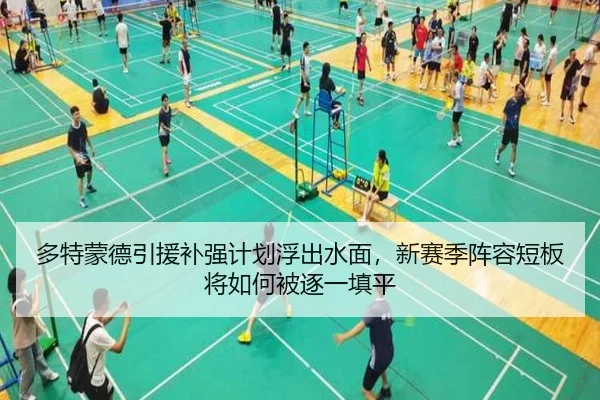 多特蒙德引援补强计划浮出水面，新赛季阵容短板将如何被逐一填平 | huatihui